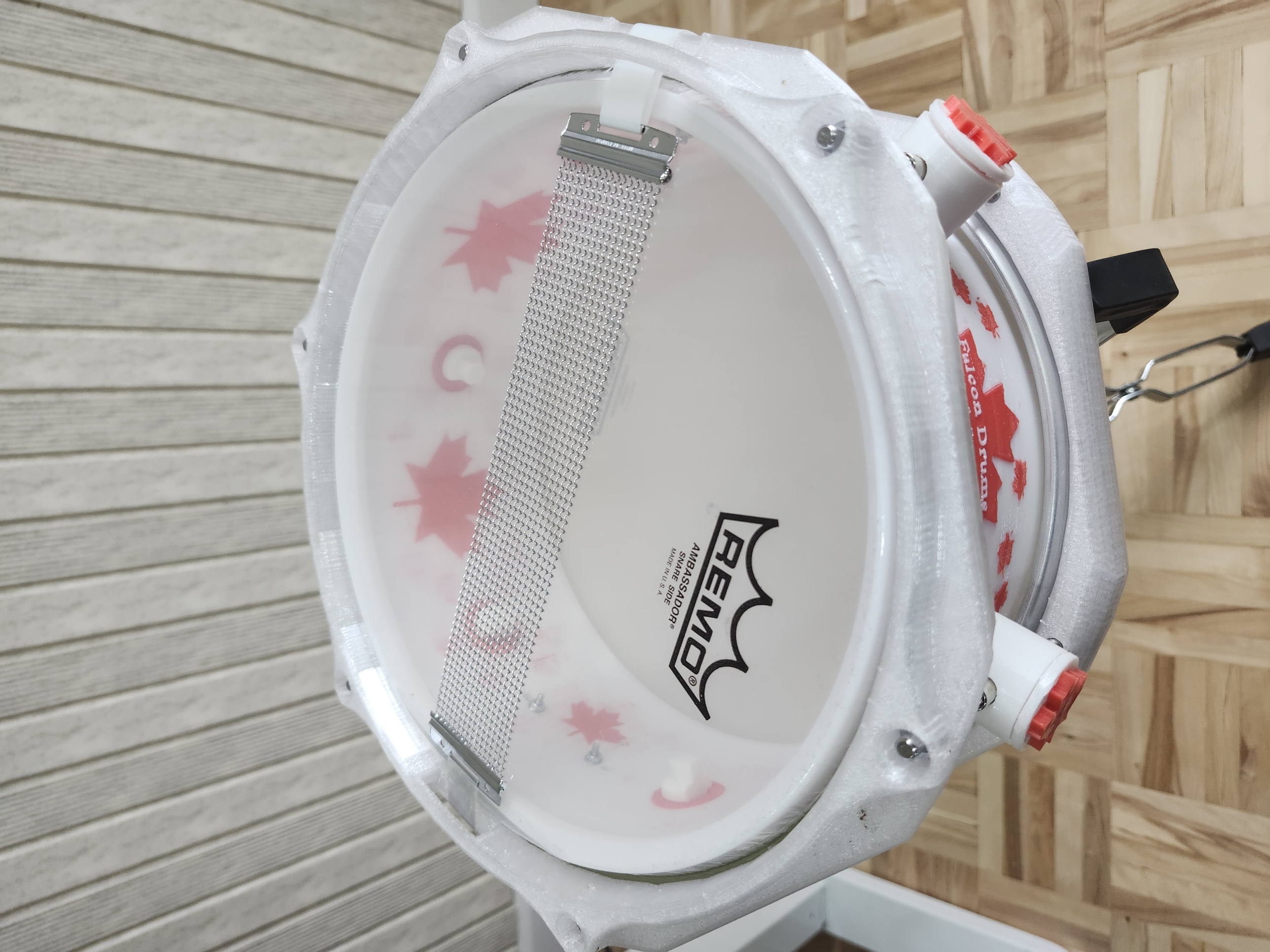 Canadian Snare